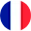 Flag Icon